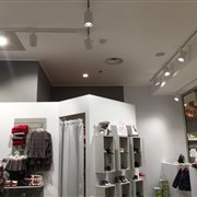 Koala Shoes
